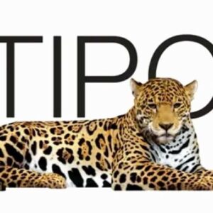 Logo Perusahaan Multipolar Technology - Lowongan Kerja Accounts Manager