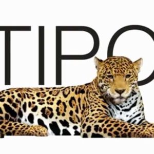 Logo Perusahaan Multipolar Technology - Lowongan Kerja Data Engineer