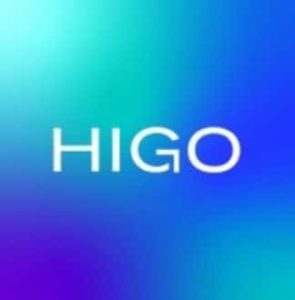 Logo Perusahaan HIGO - Lowongan Kerja NOC Officer (Hybrid)